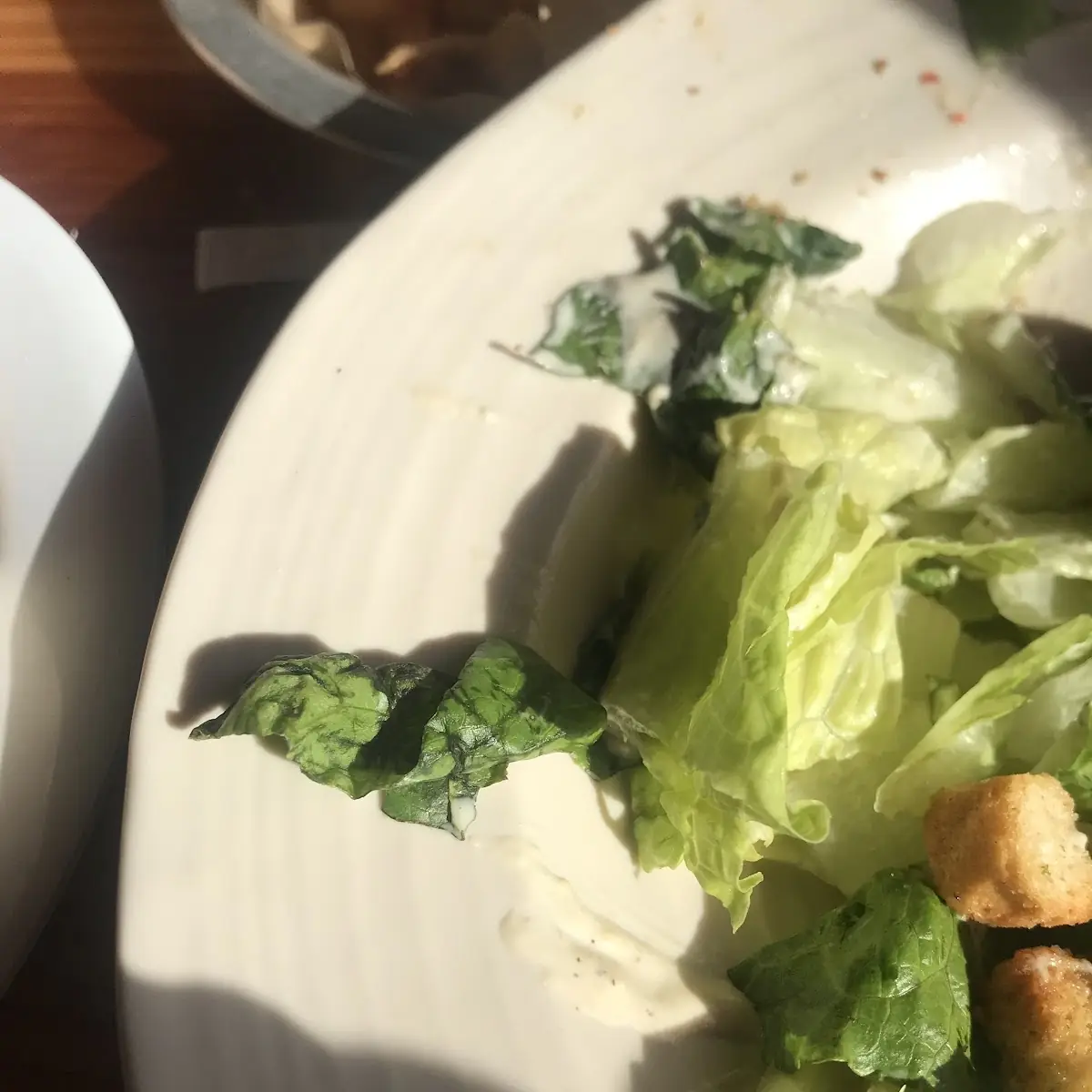 Side Garden or Caesar Salad