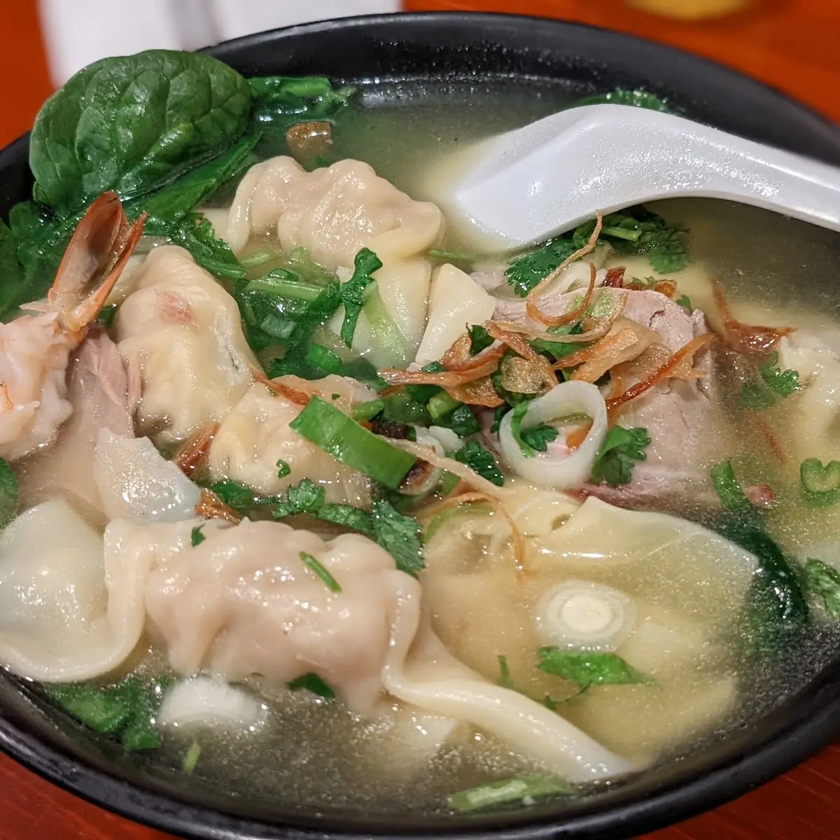 Wonton Soup