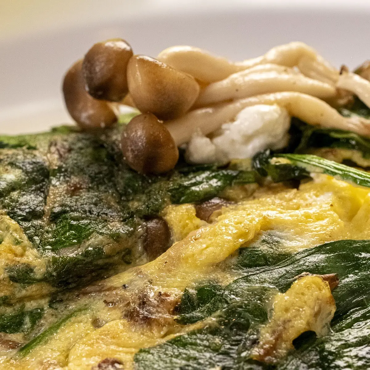 Wild Mushroom & Goat Cheese Omelette