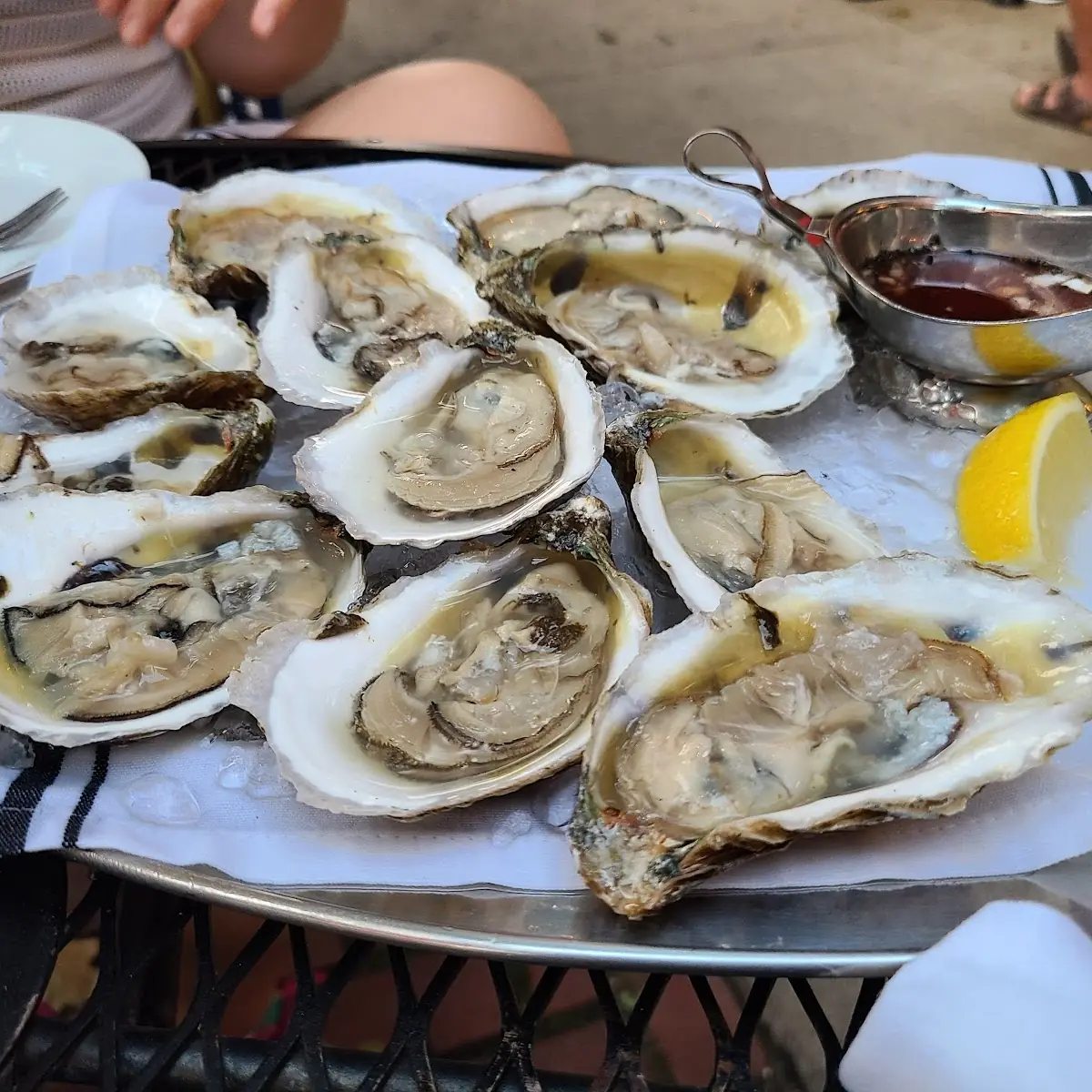 Fresh Oysters