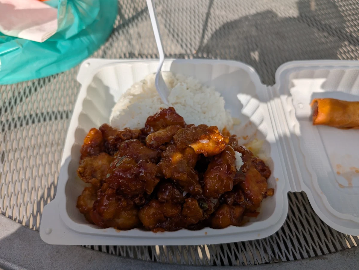 Chicken & Gyoza Jumbo Bento