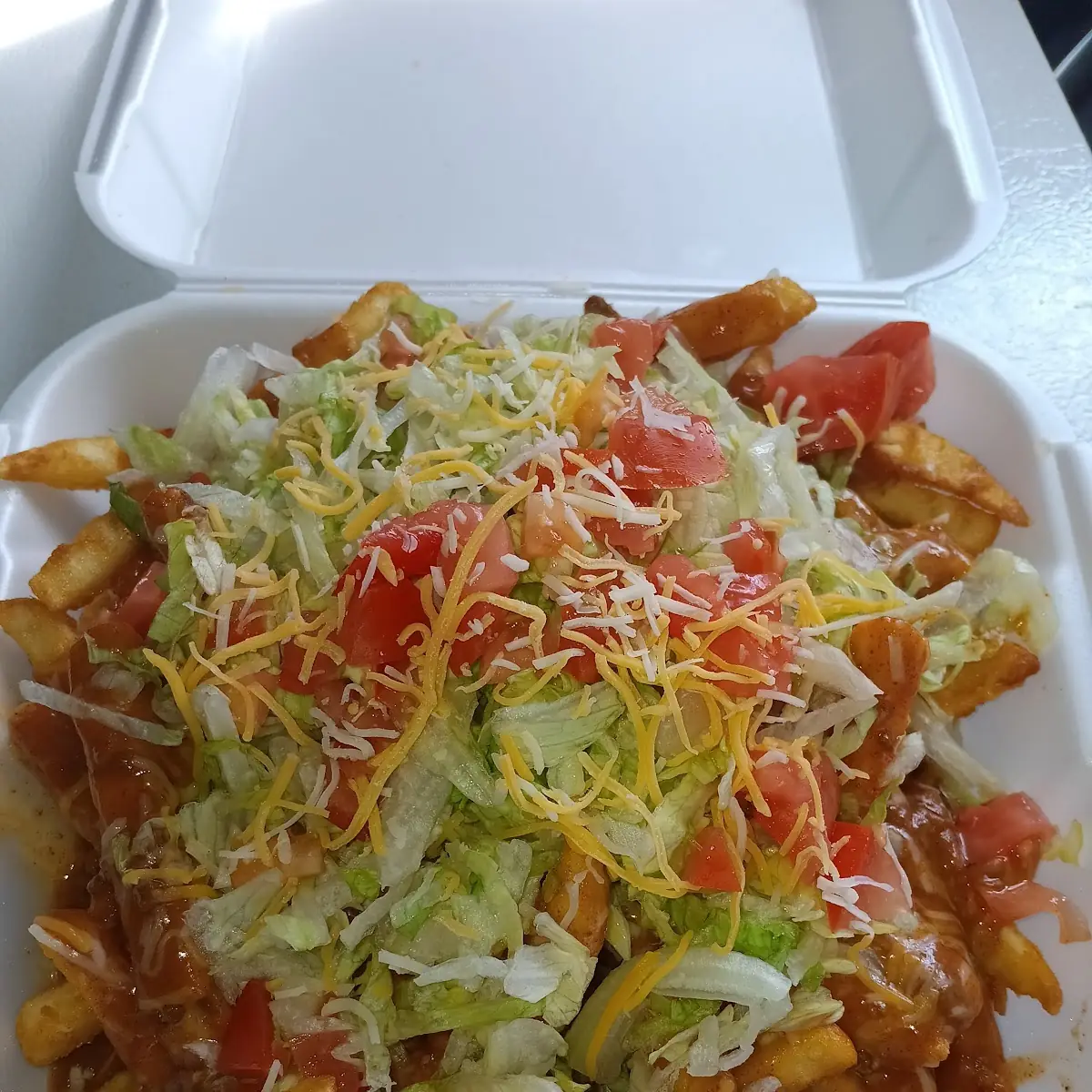 Carne Asada Fries