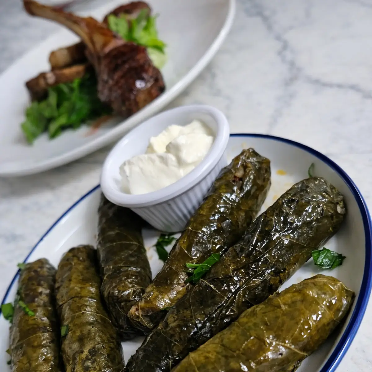 Stuffed Grape Leaves