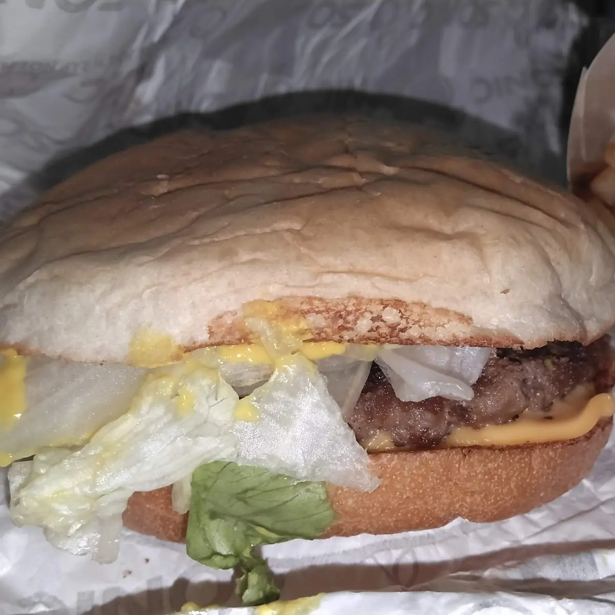 Cheese Burger and Fries
