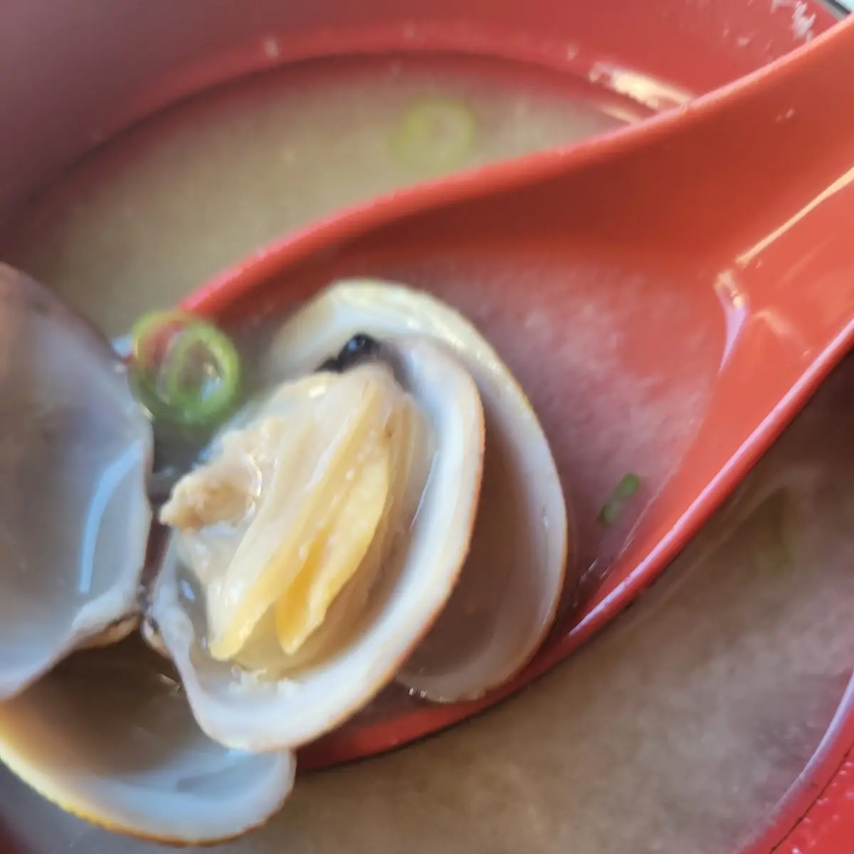 Clam Miso Soup