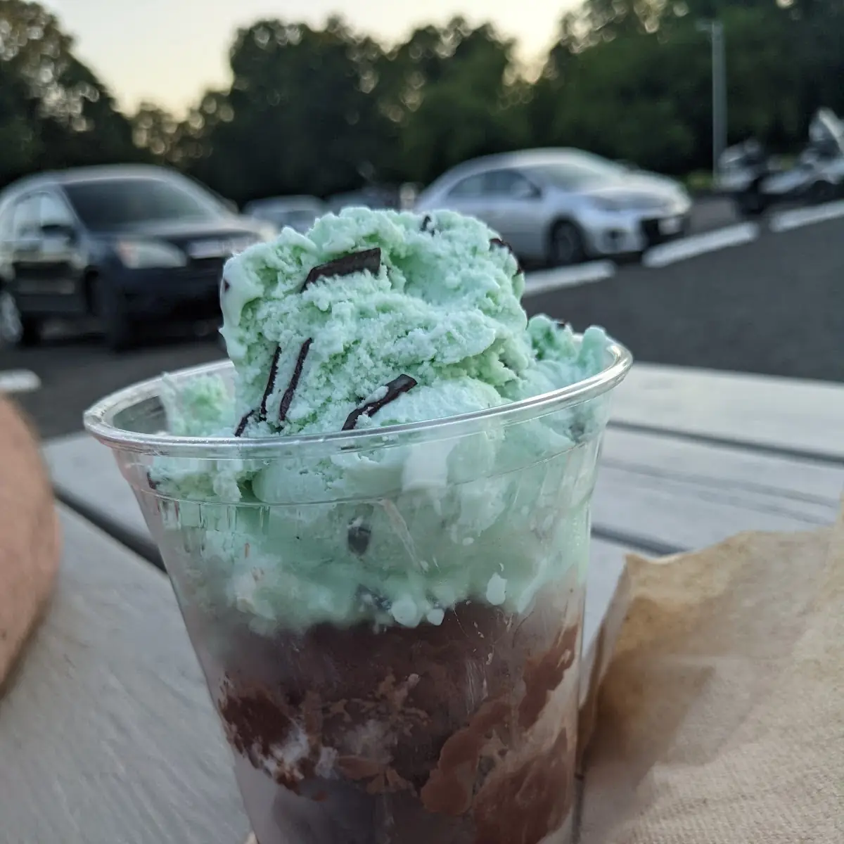 Mint Chocolate Chip and Chocolate Marshmallow