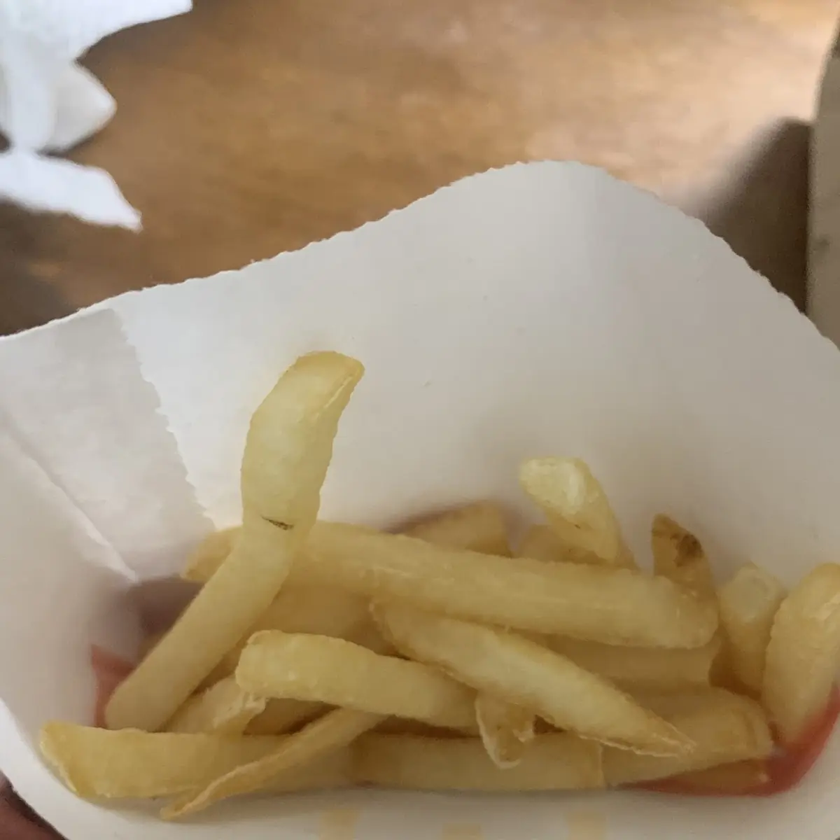 World Famous Fries