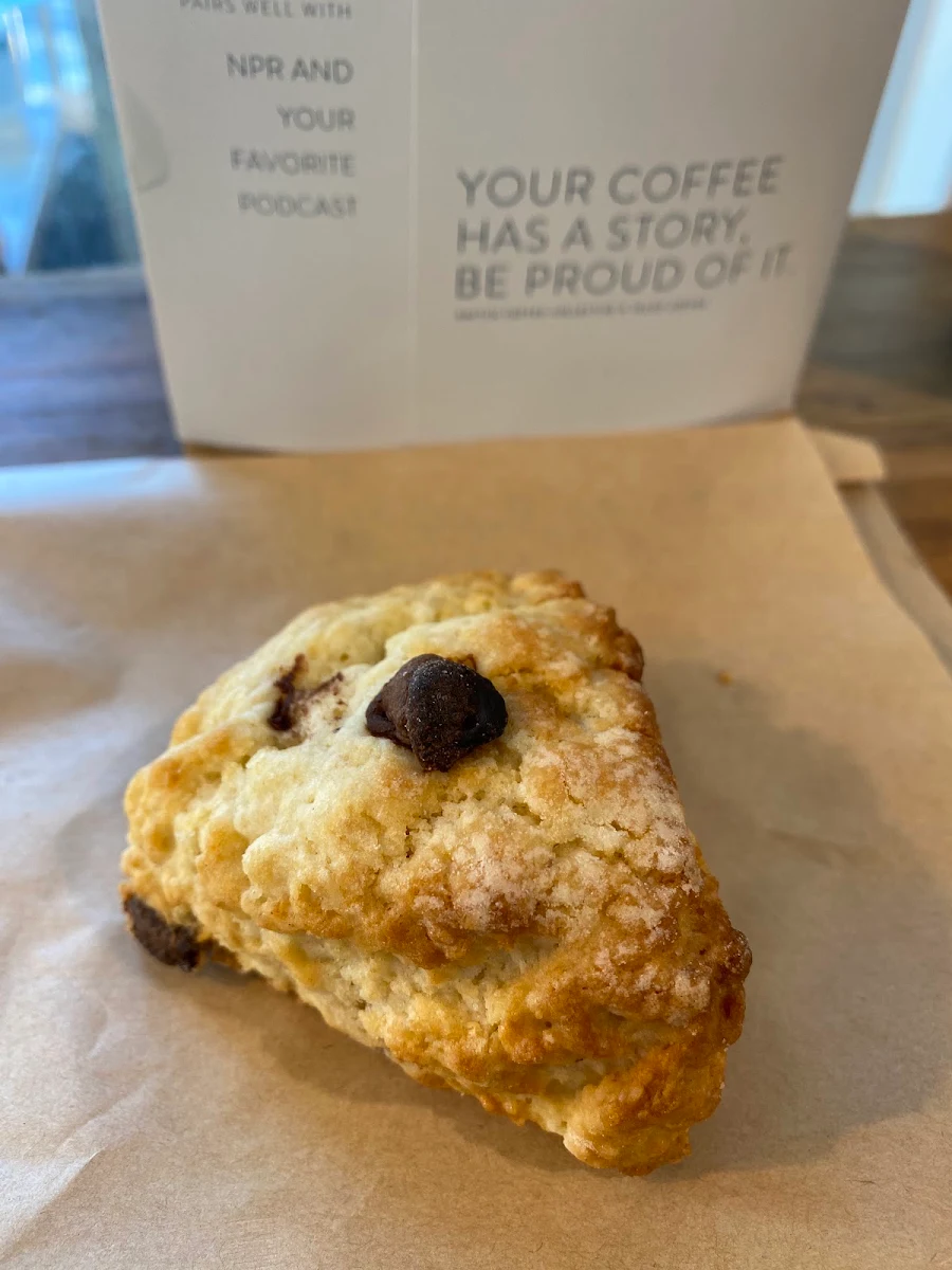 Chocolate Chip Scone