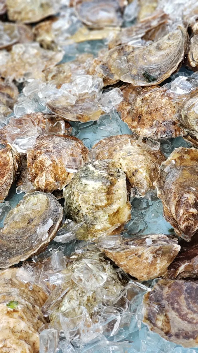 One Dozen Oysters on the Half Shell