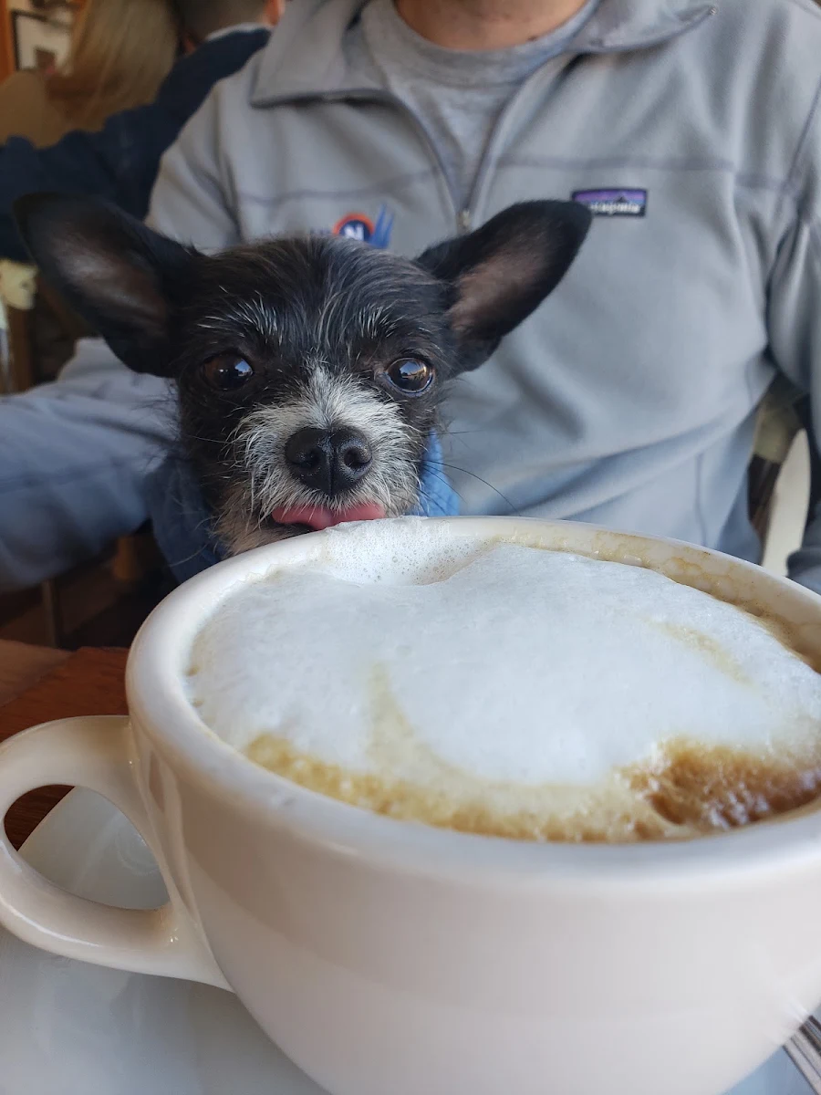 Cappuccino