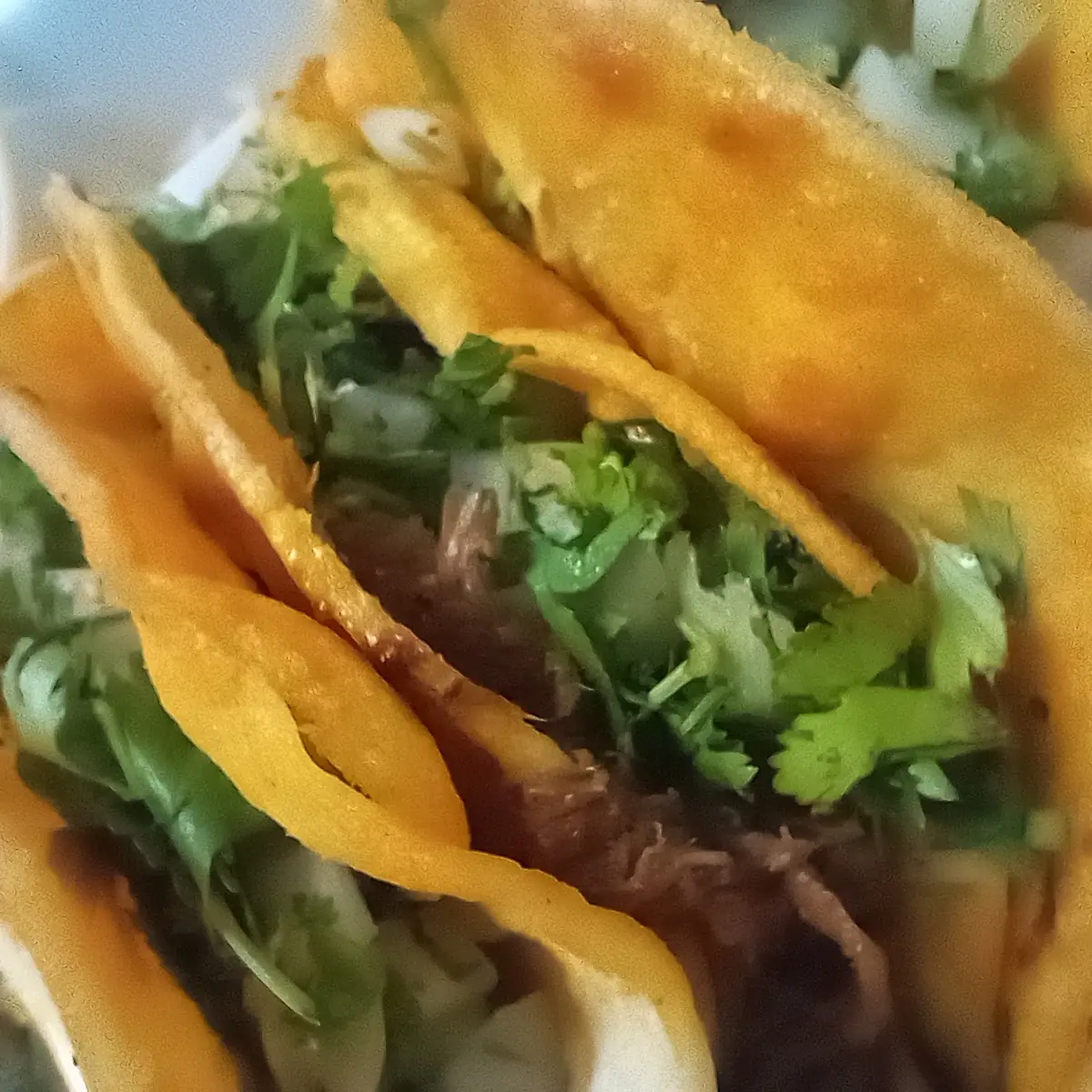 5 Rolled Tacos with Carne Asada
