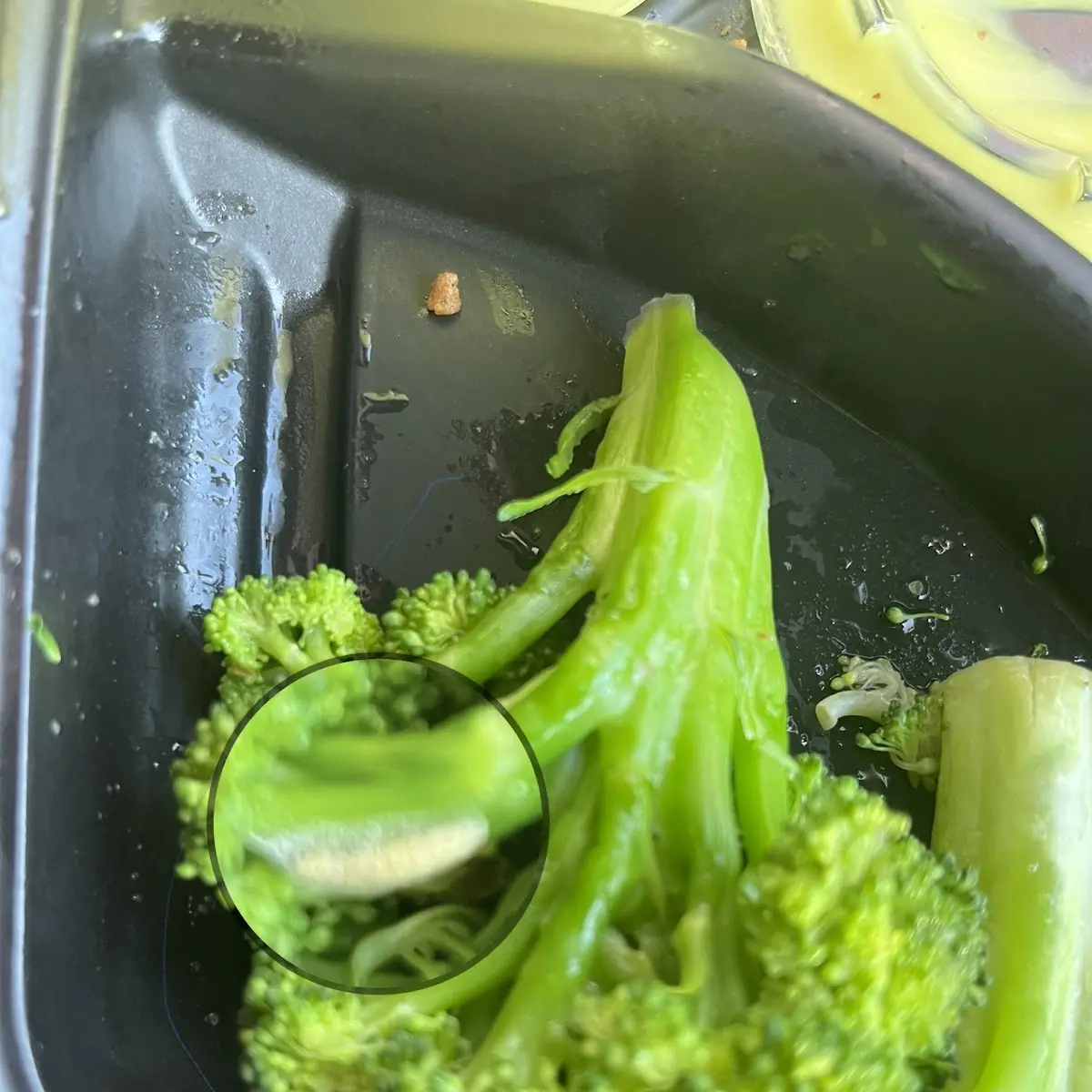Fresh Steamed Broccoli