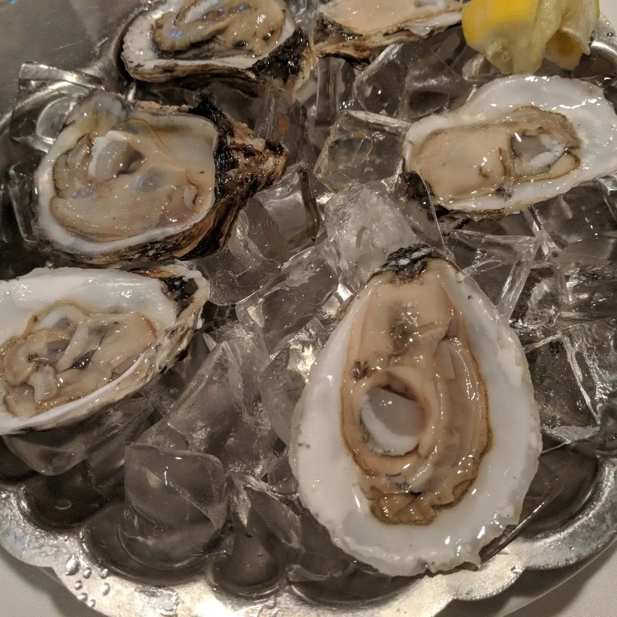 Oysters on the Half Shell
