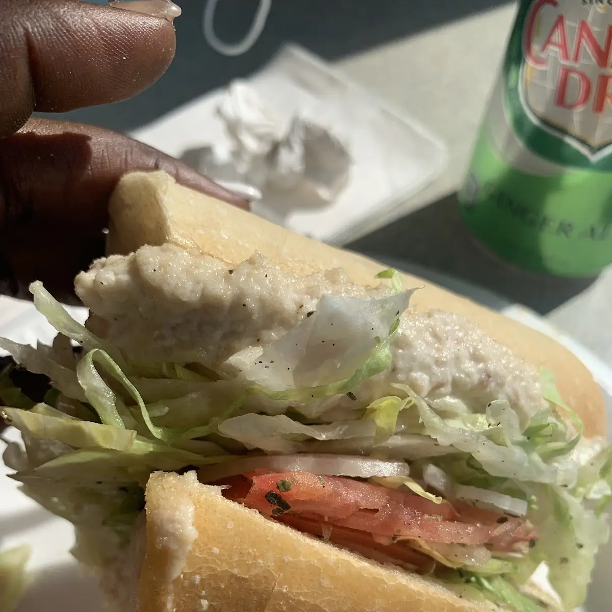 Tuna Salad Submarine Sandwich