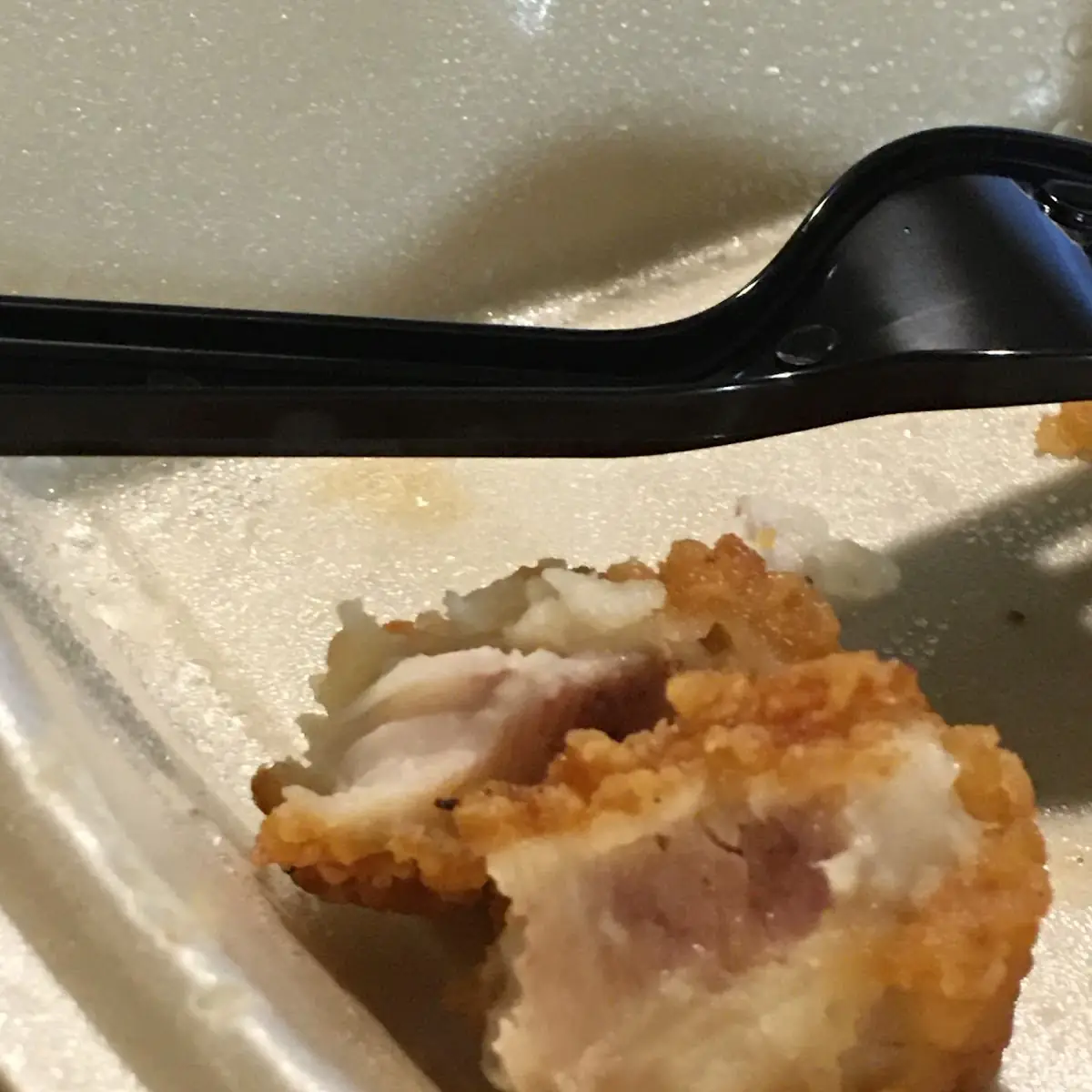 Tempura Ice Cream