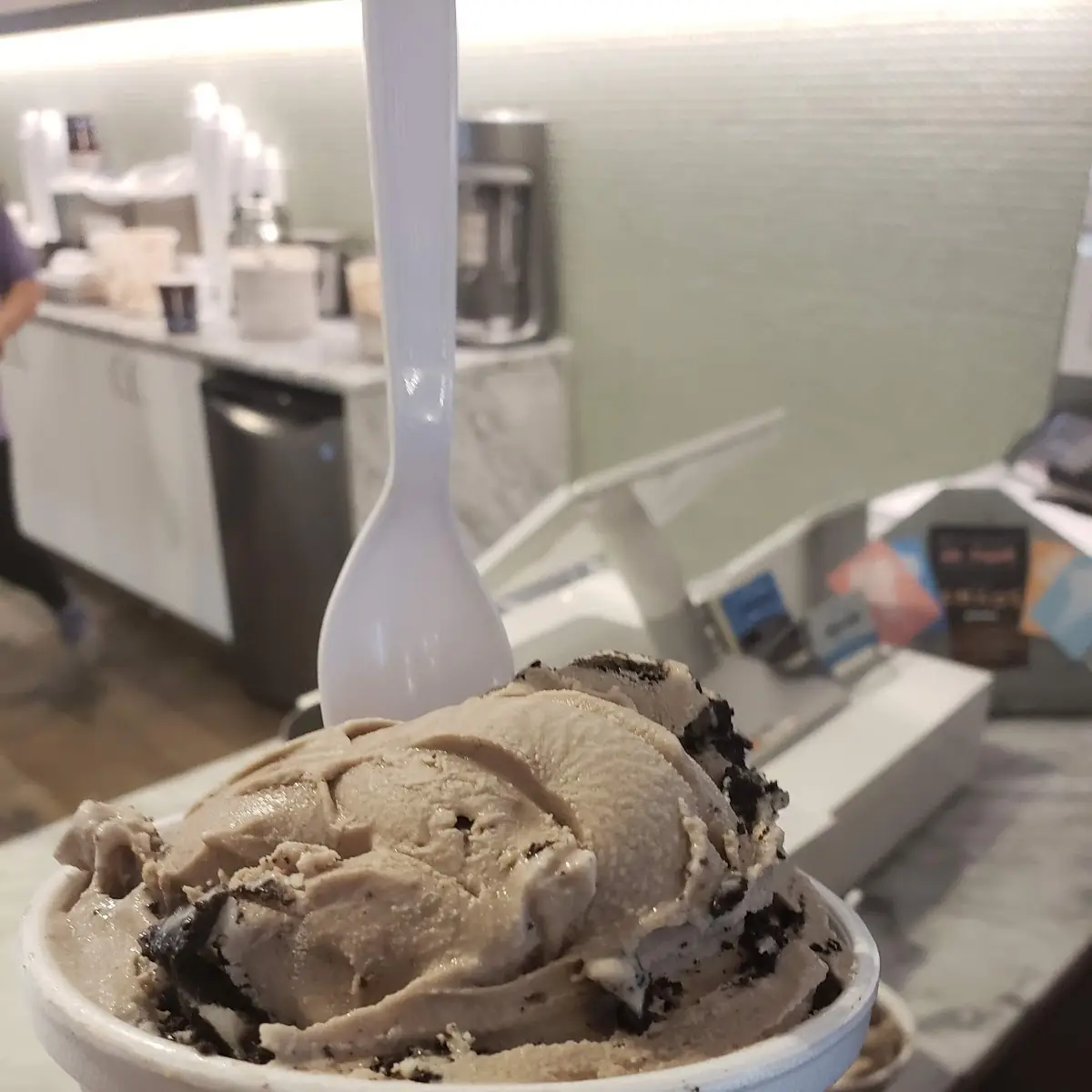 Chocolate Chip