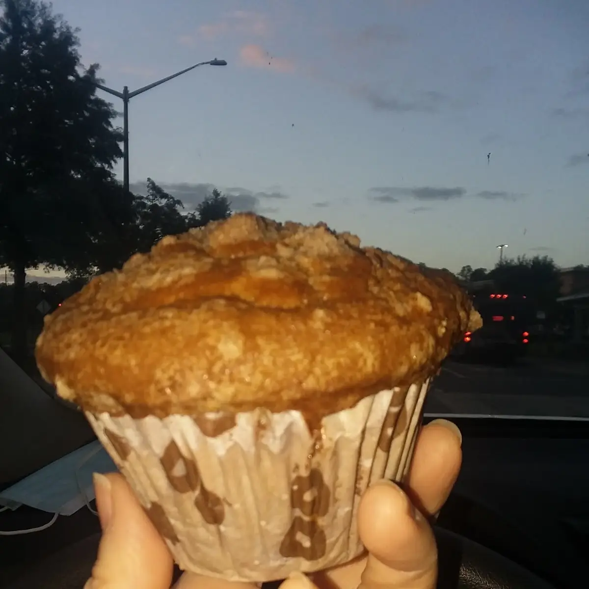 Breakfast Muffin Cinnamon Sugar