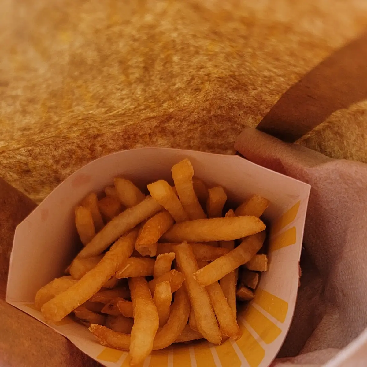 World Famous Fries