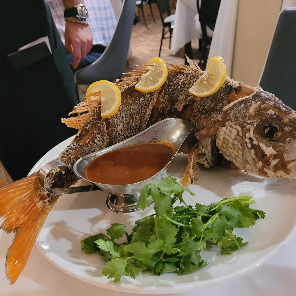 Red Snapper for 2