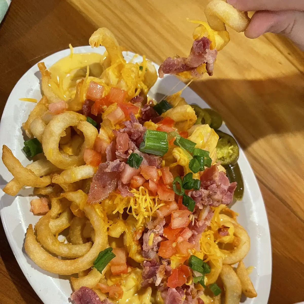 Loaded Fries