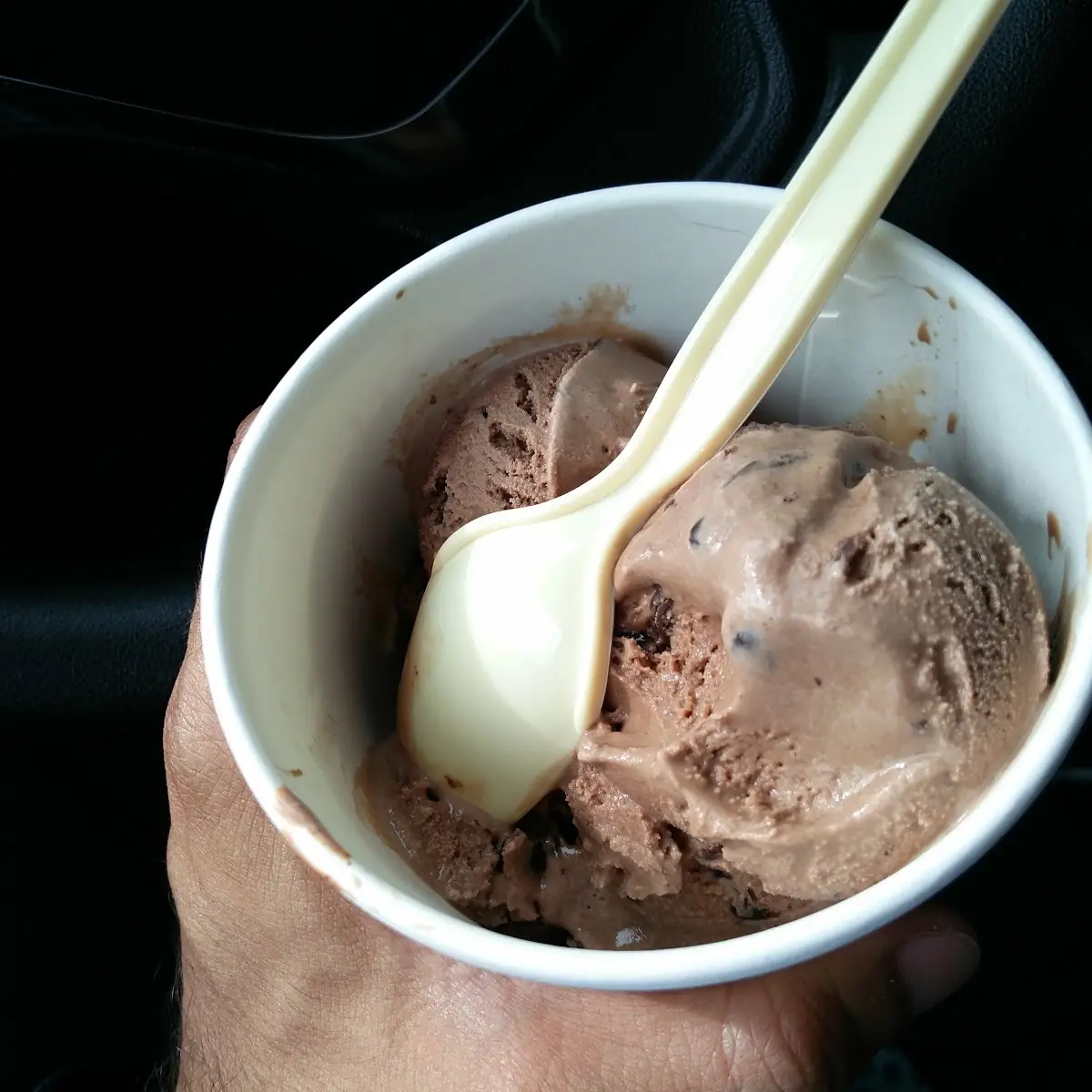 Double Chocolate Chip Pint