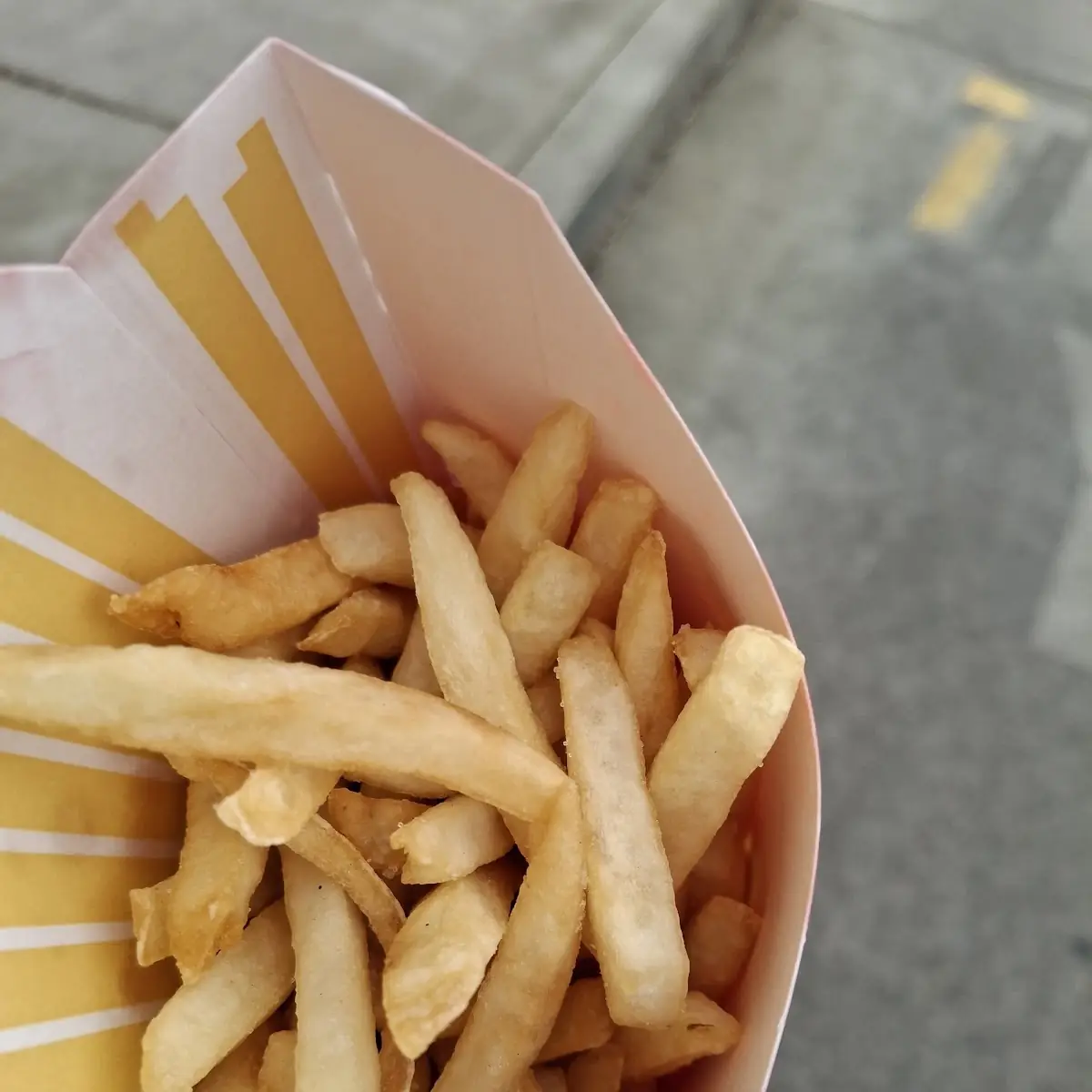 World Famous Fries
