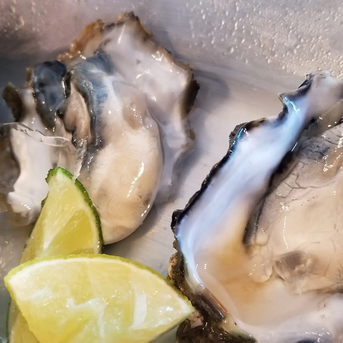 Oysters on the Half Shell