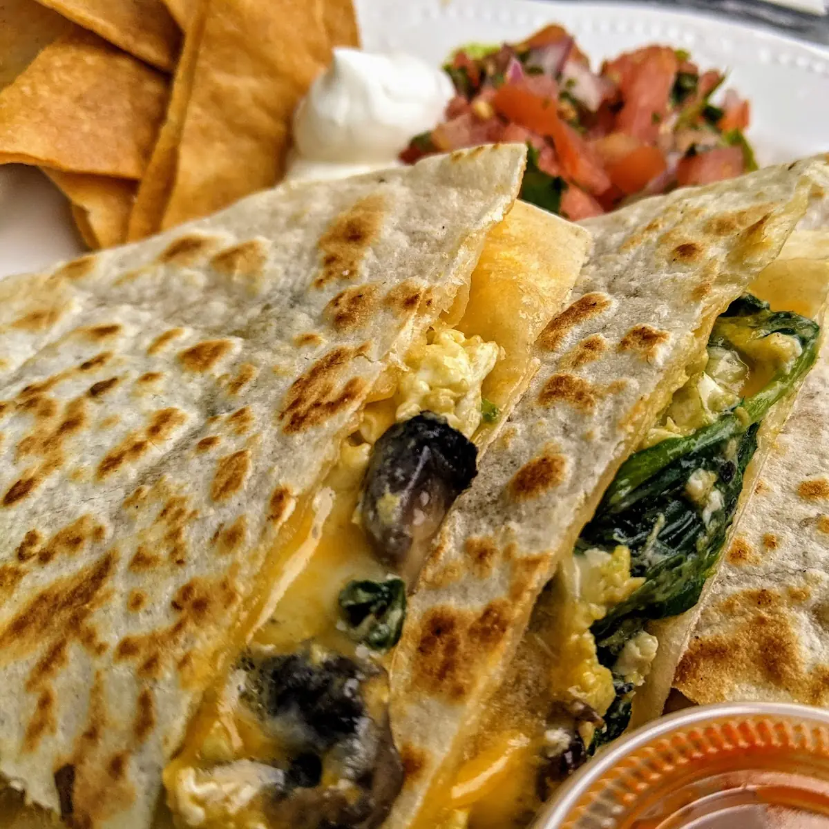 Oaxacan Breakfast Quesadilla
