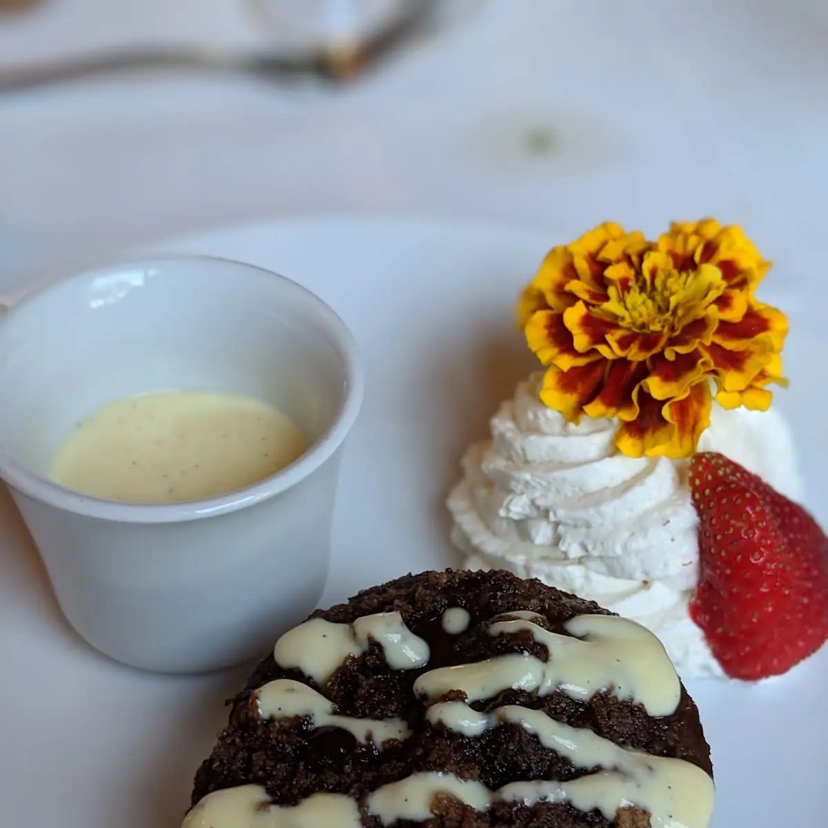 Vanilla Creme Brulee