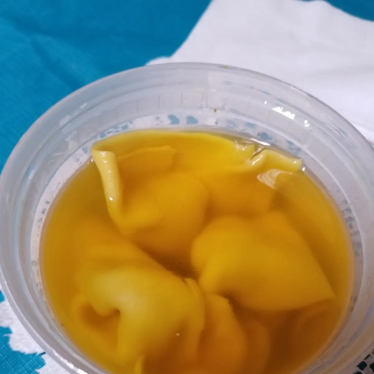 9. Fried Wonton (8)`