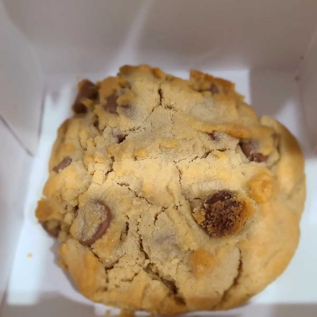 Peanut Butter Chocolate Chip Cookie