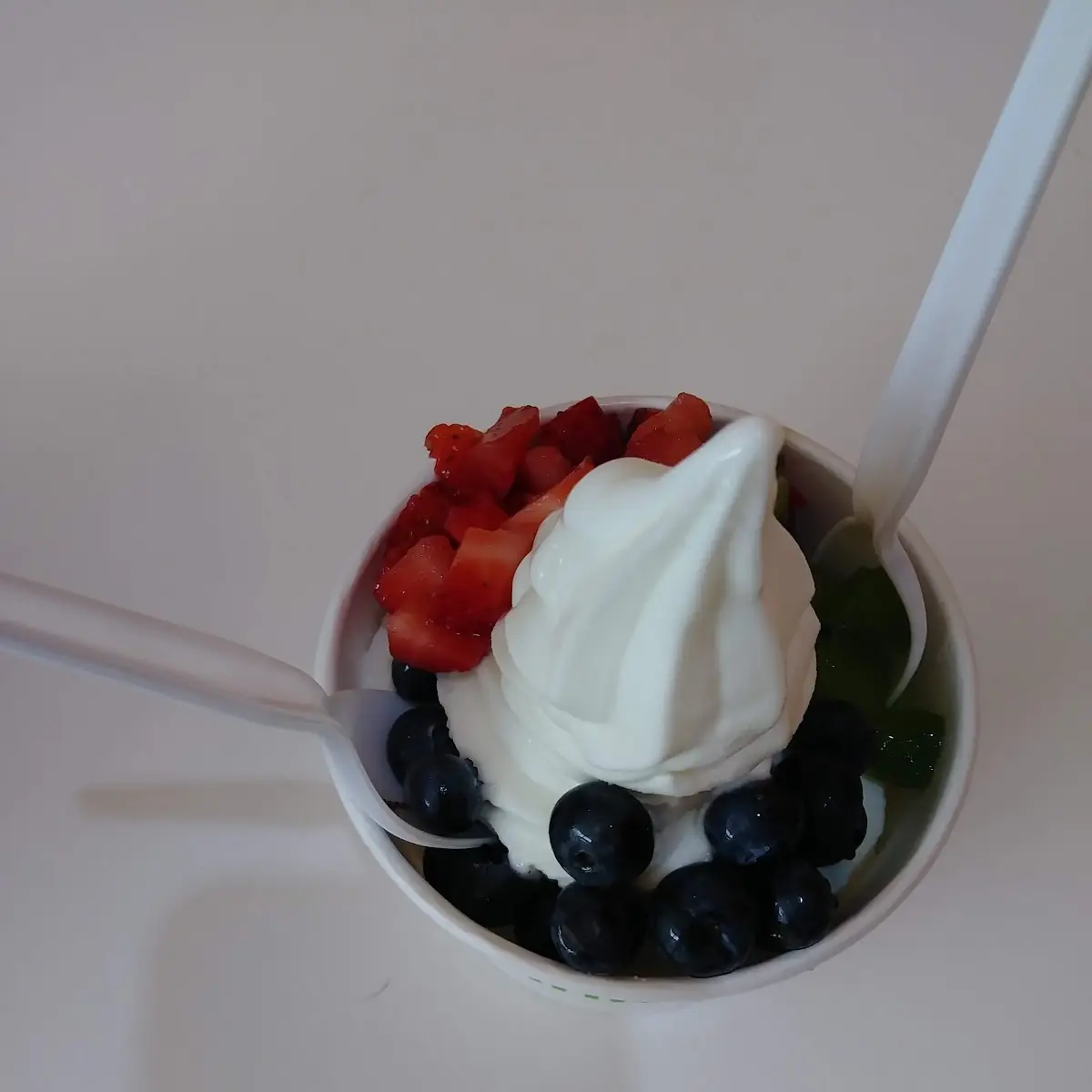 Take Home Yogurt