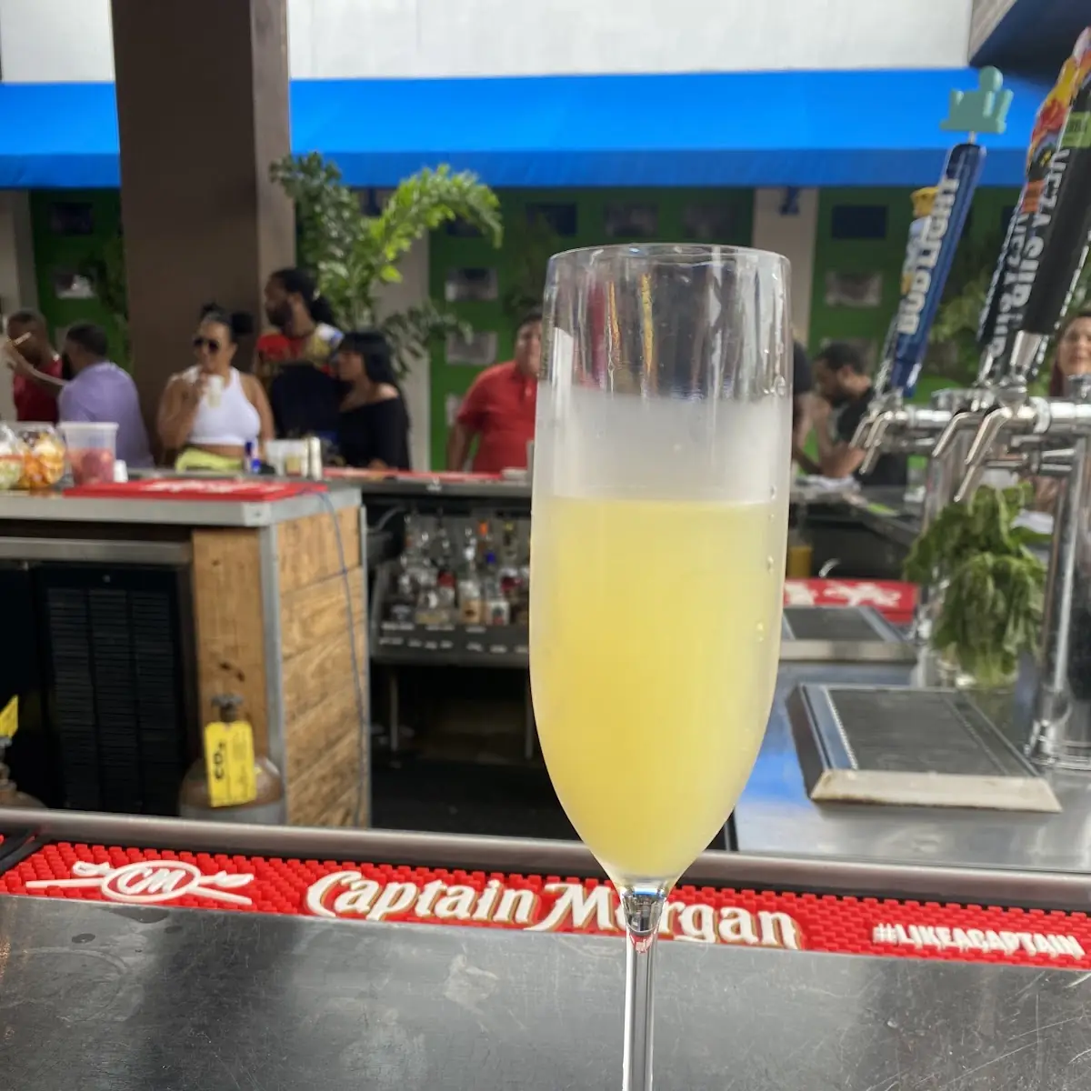 Mimosa Bottle Service with Fresh Squeezed OJ