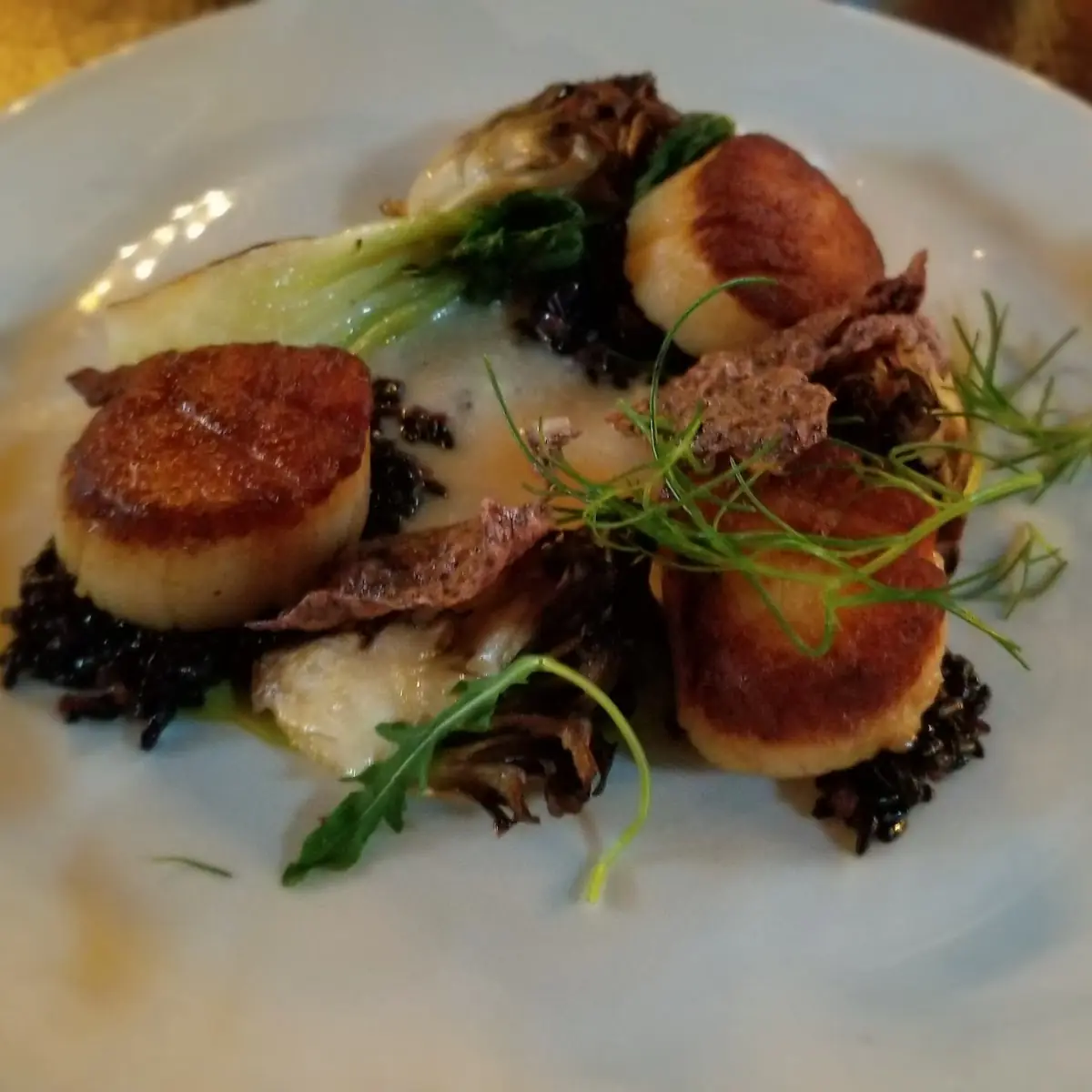 Seared Scallops