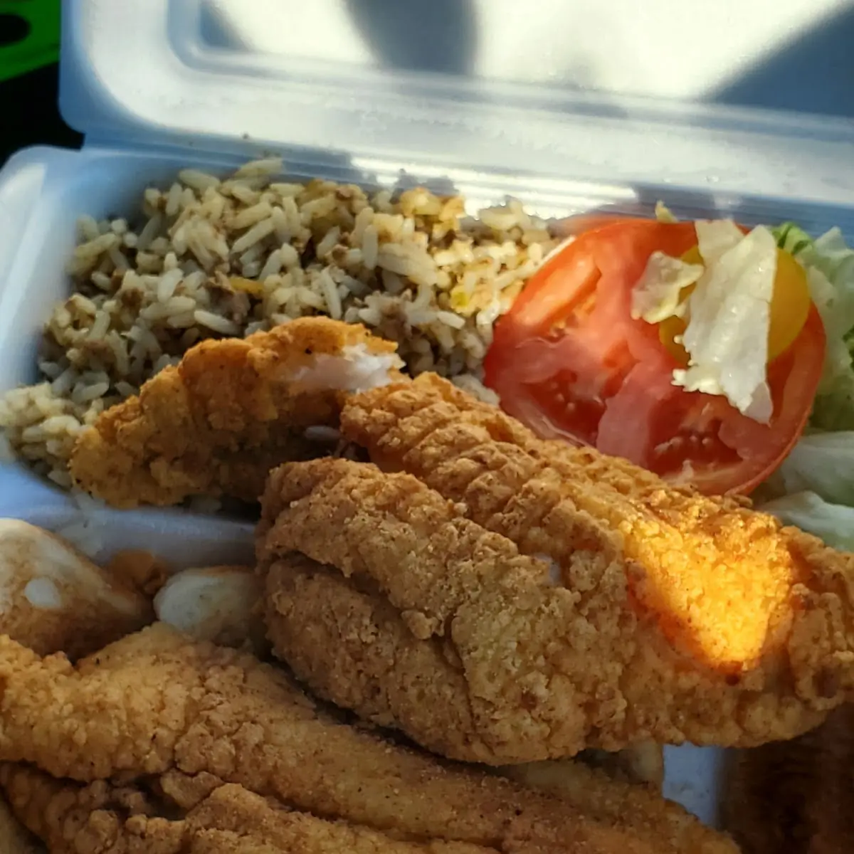 Catfish Fillet