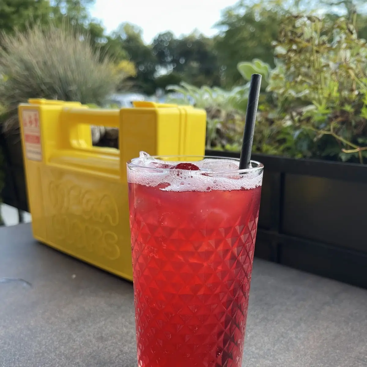 Hibiscus Tea