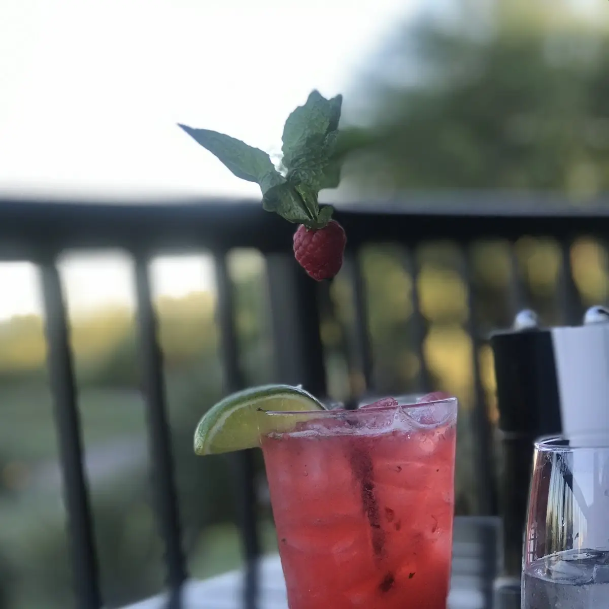 Raspberry Mojito