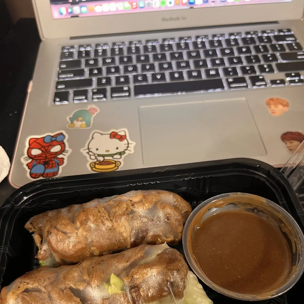 Grilled Pork Spring Rolls