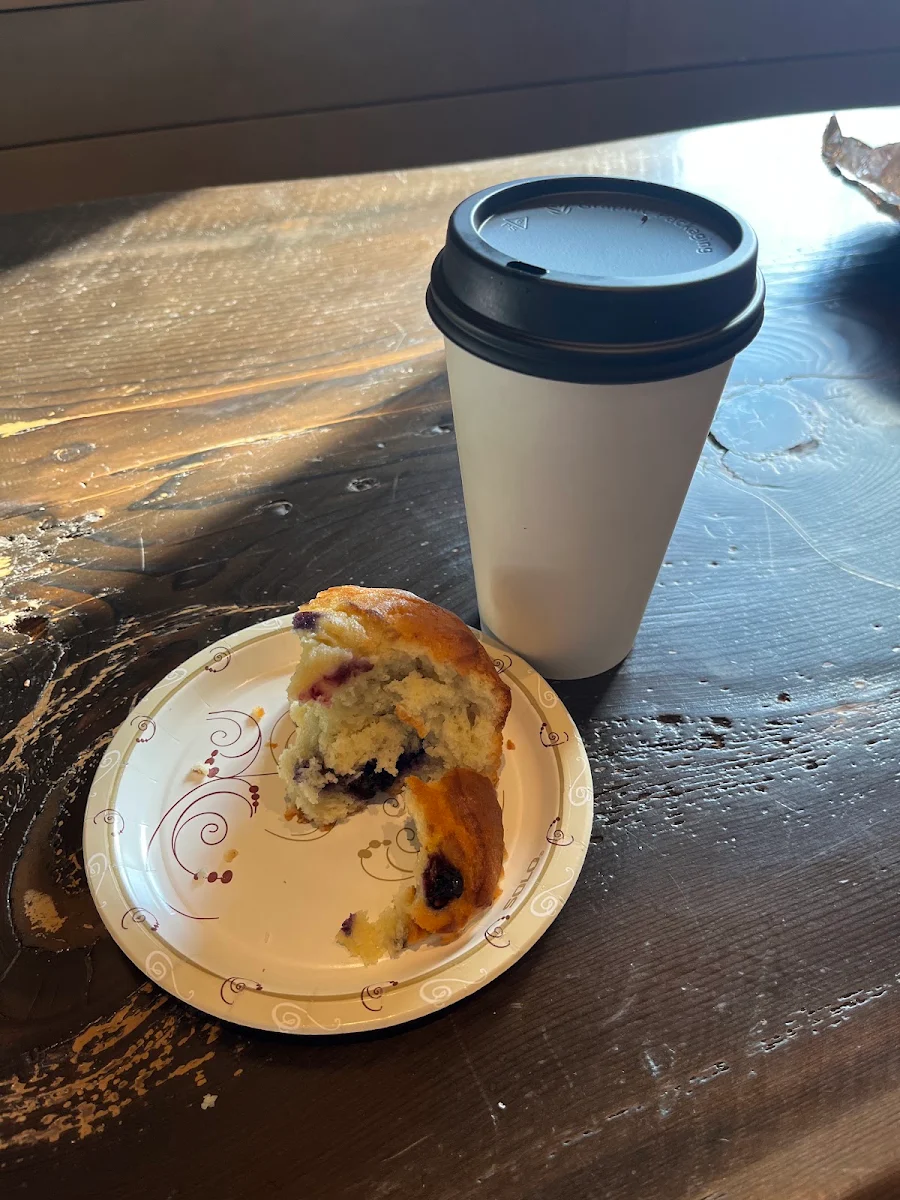 Blueberry Muffin