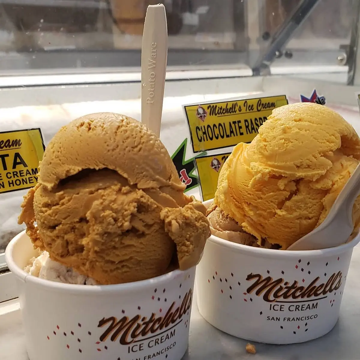 Ice Cream Flavors