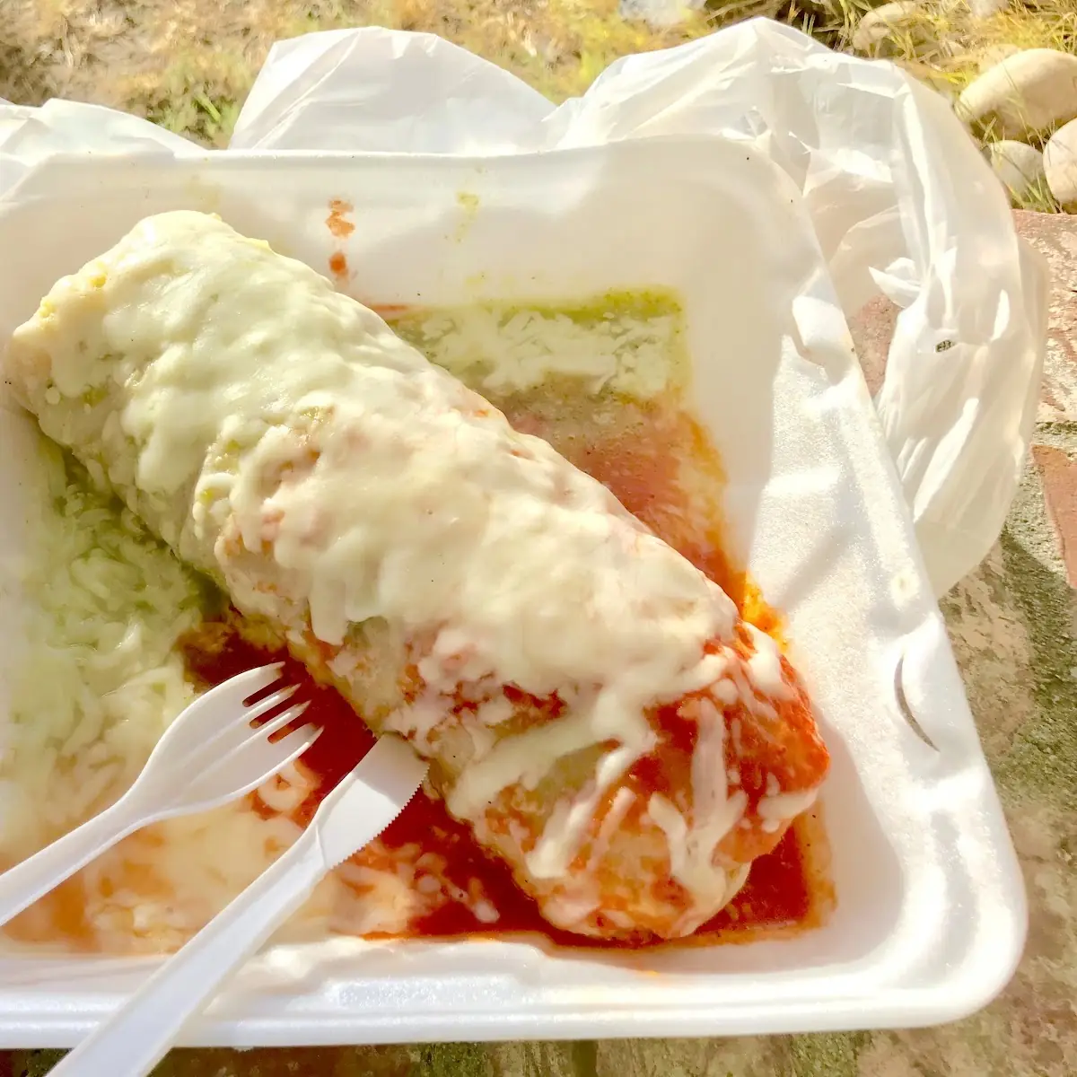 Wet Burrito