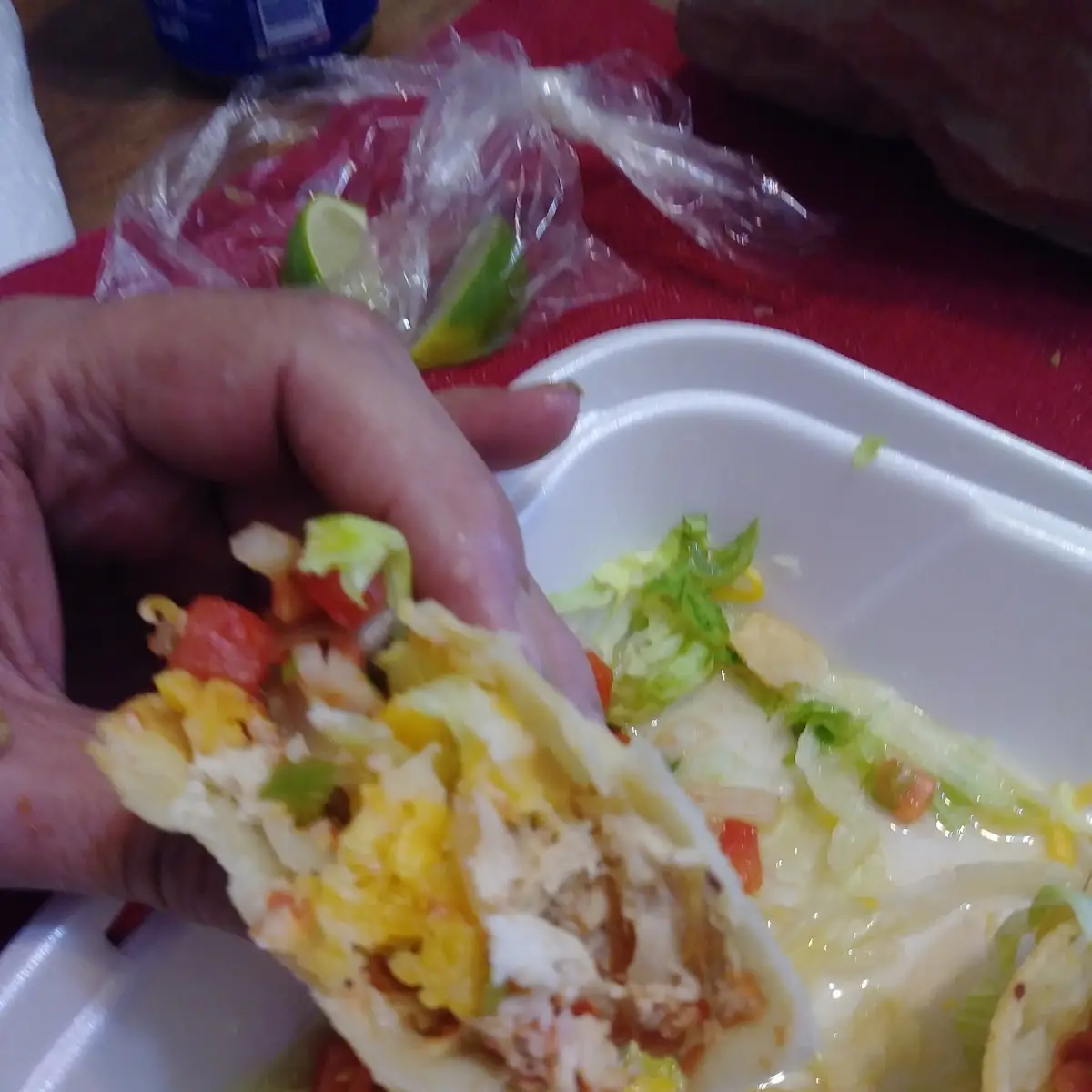 Talas Hard Shell Chicken Taco