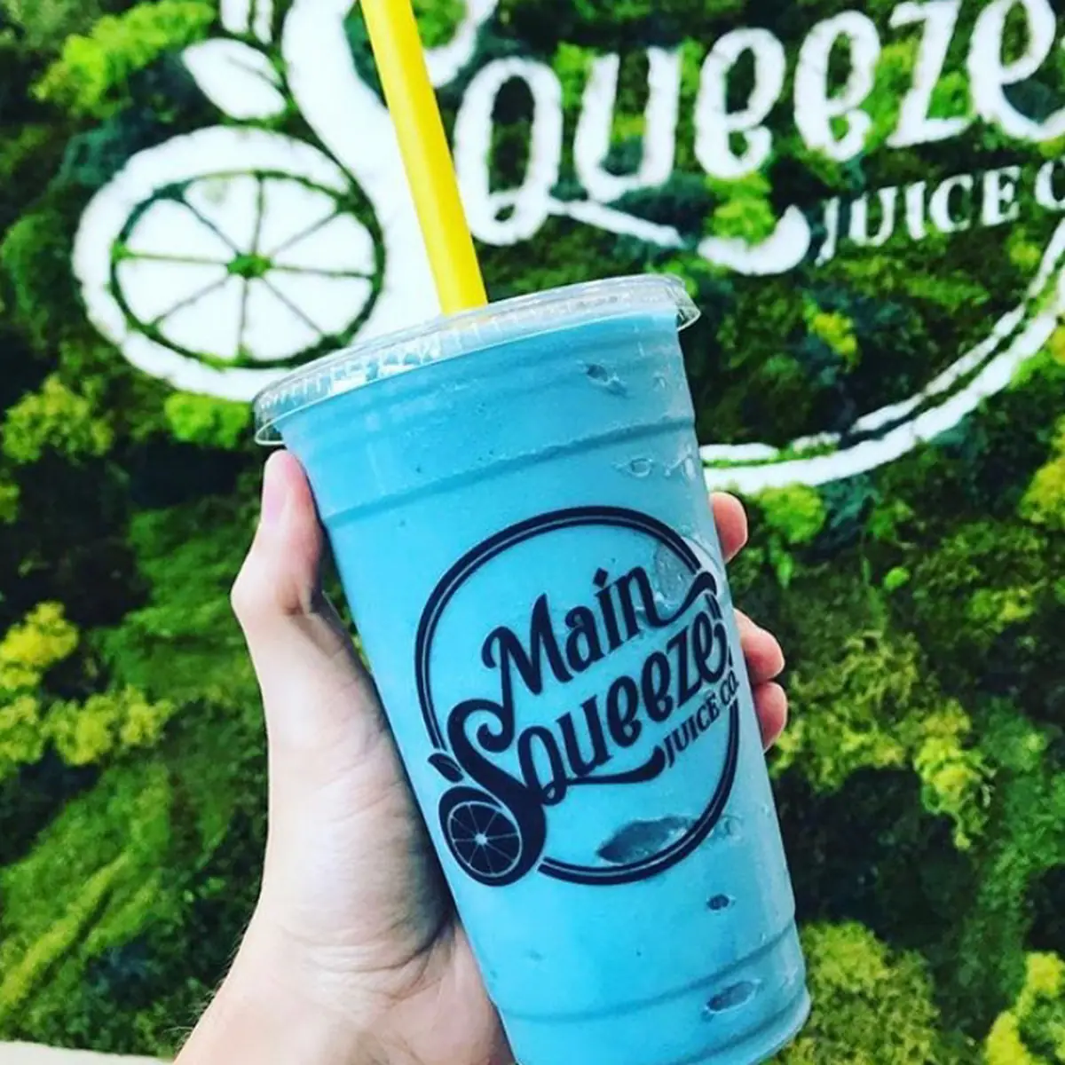 Blue Tart Smoothie