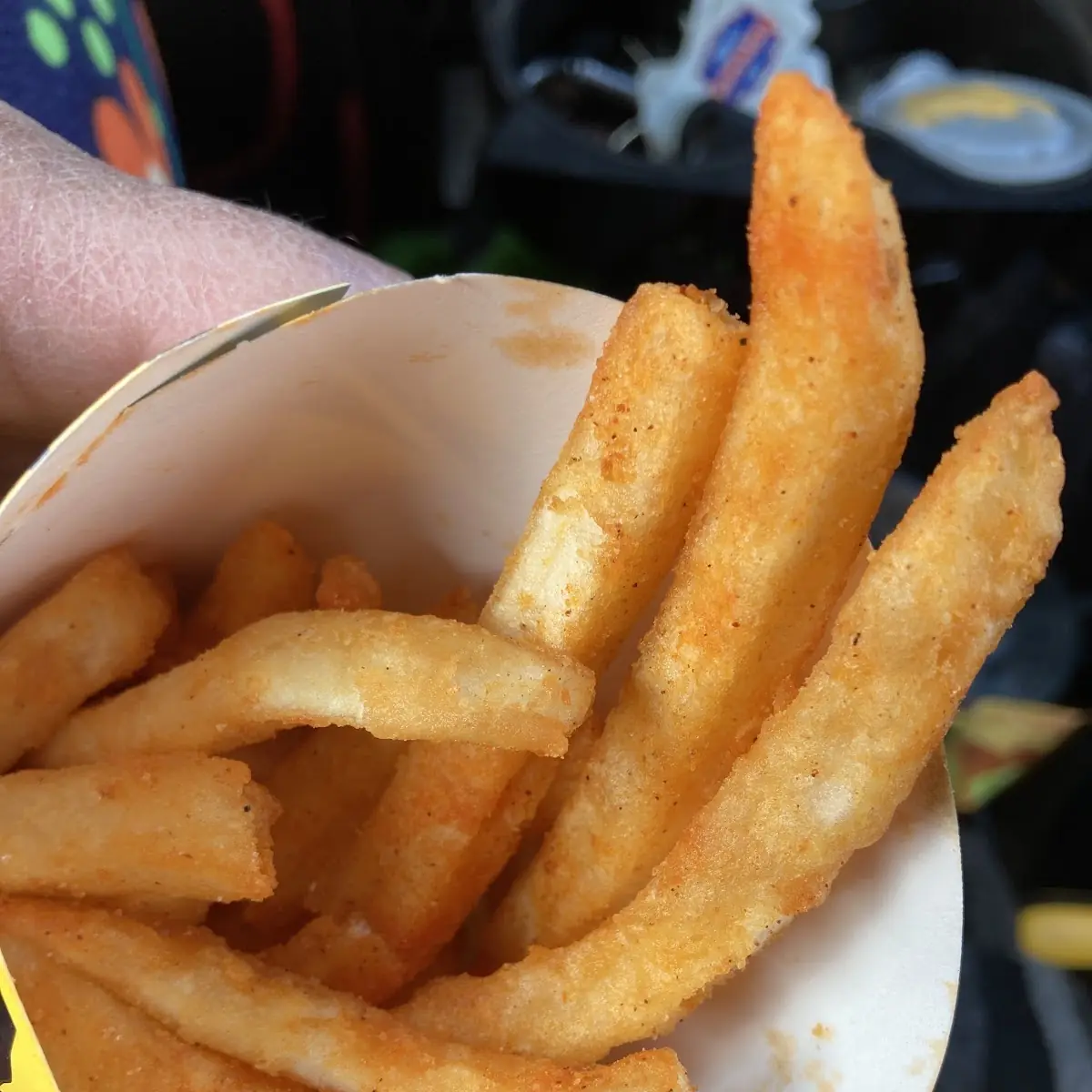 Large Nacho Fries