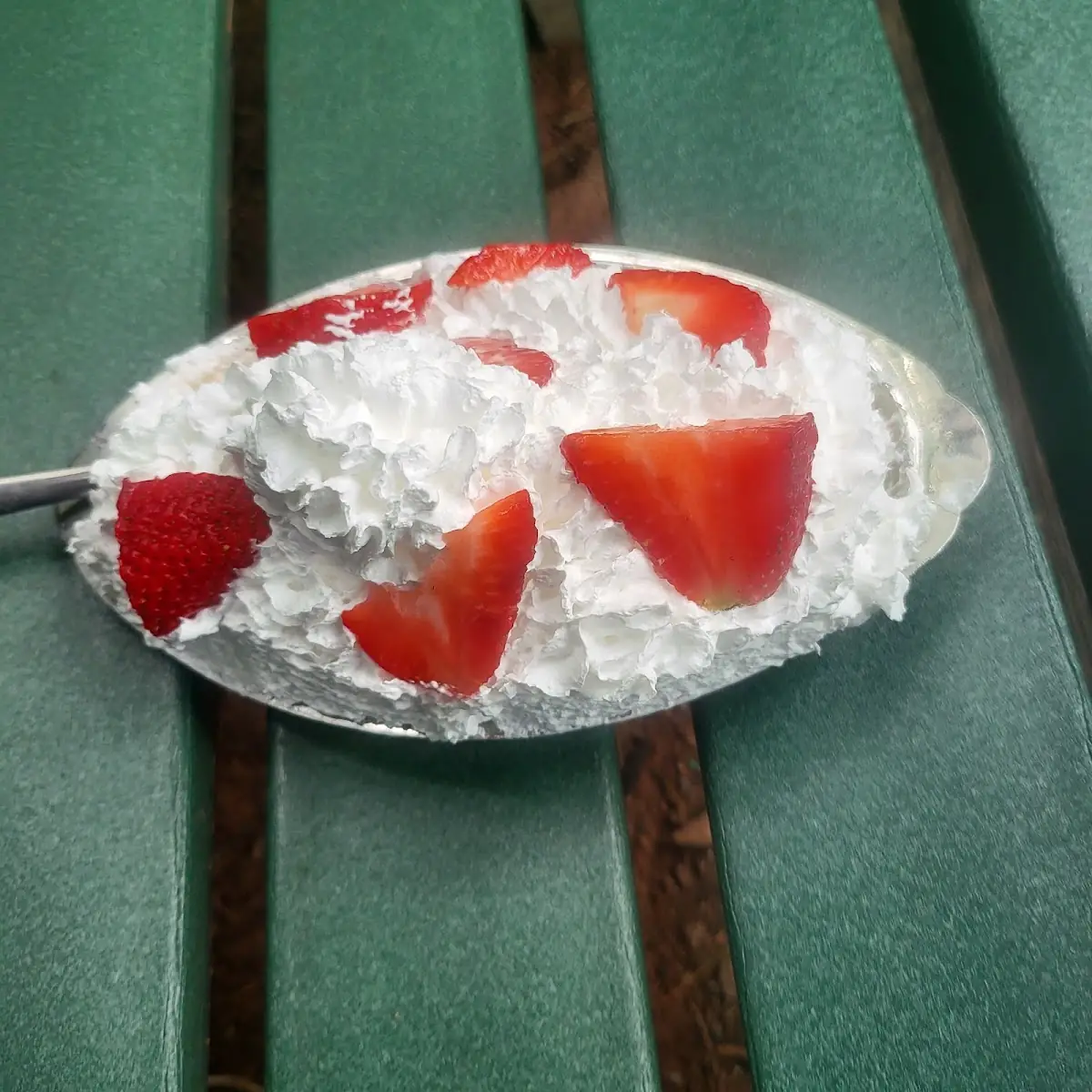 Strawberry Shortcake Sundae