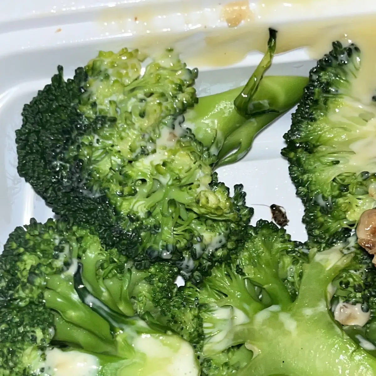 Broccoli with Garlic Sauce