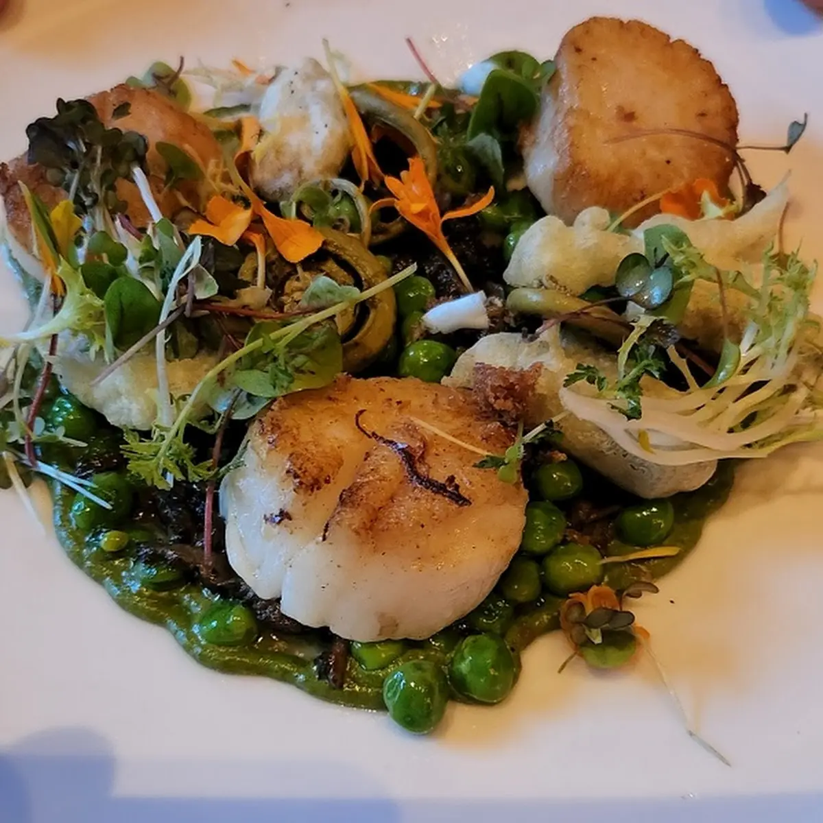 Pan Seared Eastern Shore Sea Scallops