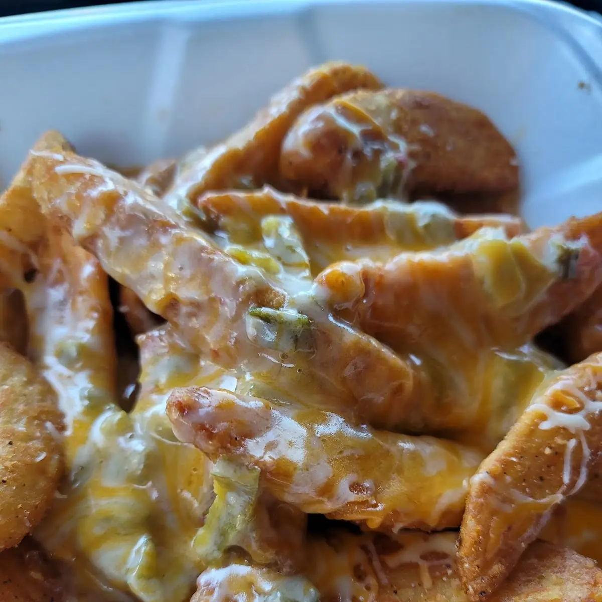 Green Chile Cheese Fries