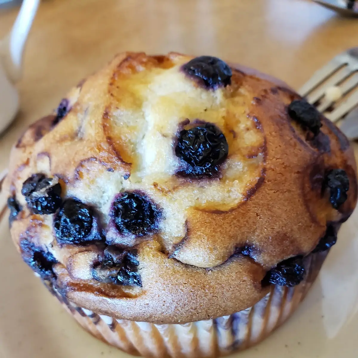 Blueberry Muffin