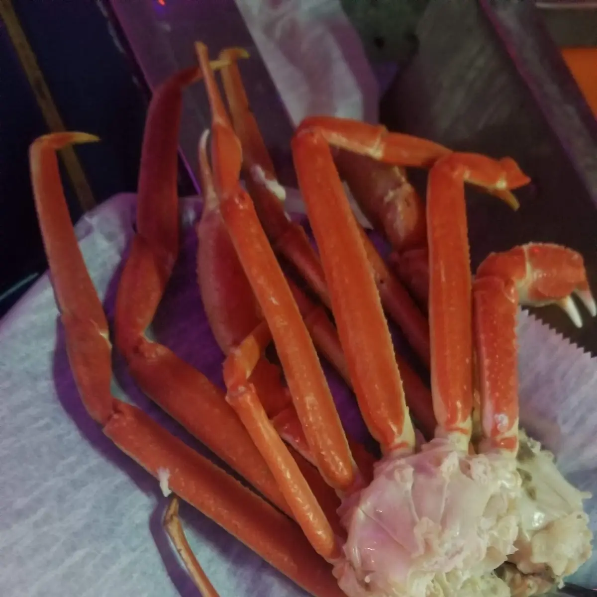 Snow Crab